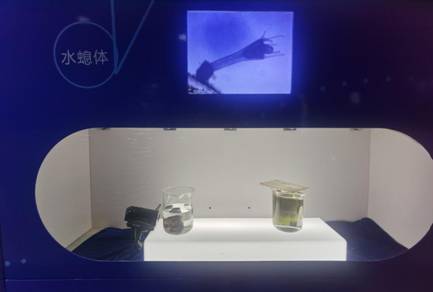 微信图片_20240205203024